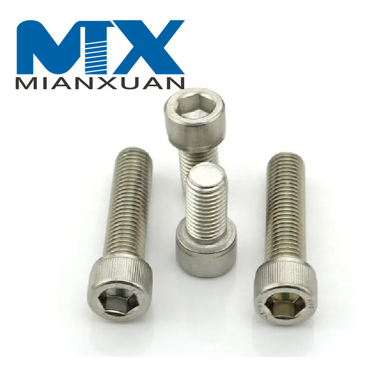 High Quality Stainless Plastic Bolt with Low Head Hexagon Socket
