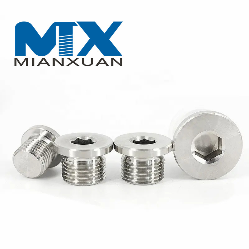 Stainless Steel Plug with ED Ring Hexagon Seal Plug