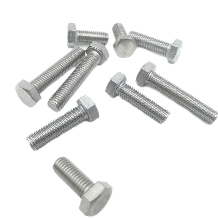 Custom Fastener Stainless Steel Hex Bolt Nut and Washer
