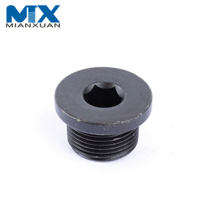 M10 M12 M16 Stainless Steel A2 A4 Hex Socket Screw Plug DIN908