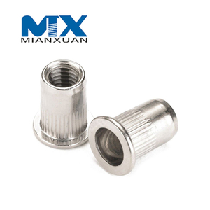 Manufacturer Custom SS304 Pull Rivet Nut Aluminium Pull Dovetail Rivet Nut